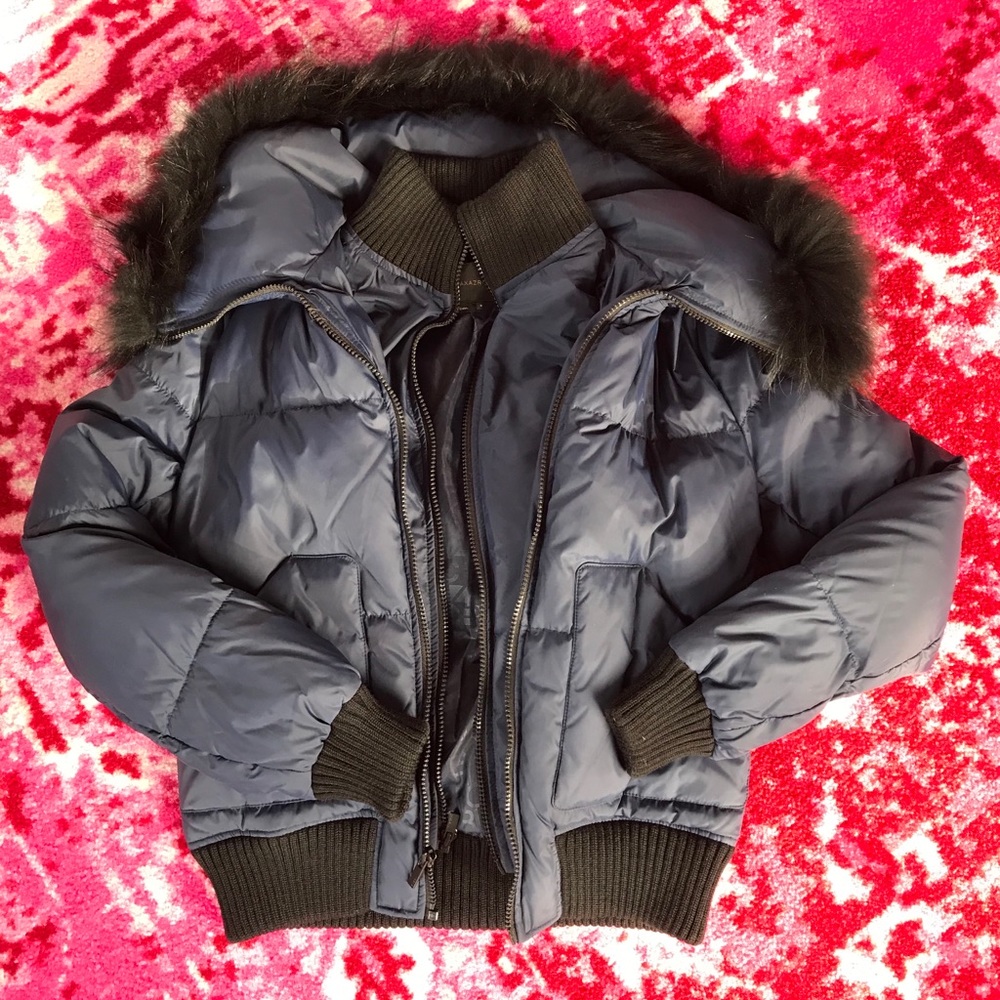 BCBG Navy Blue Puffer Jacket